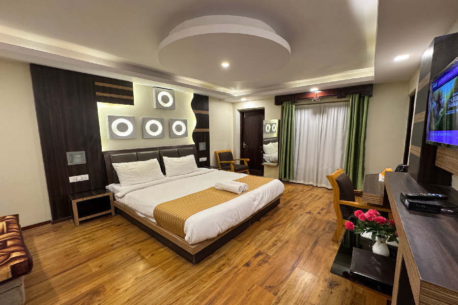 budget hotels in leh ladakh